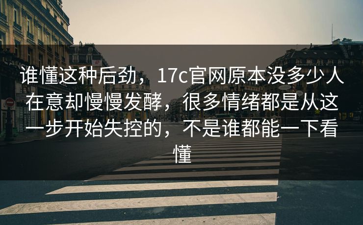 谁懂这种后劲，17c官网原本没多少人在意却慢慢发酵，很多情绪都是从这一步开始失控的，不是谁都能一下看懂