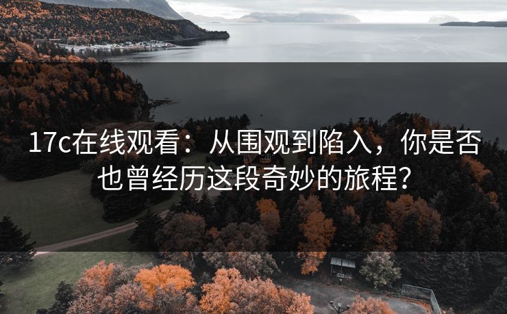 17c在线观看：从围观到陷入，你是否也曾经历这段奇妙的旅程？