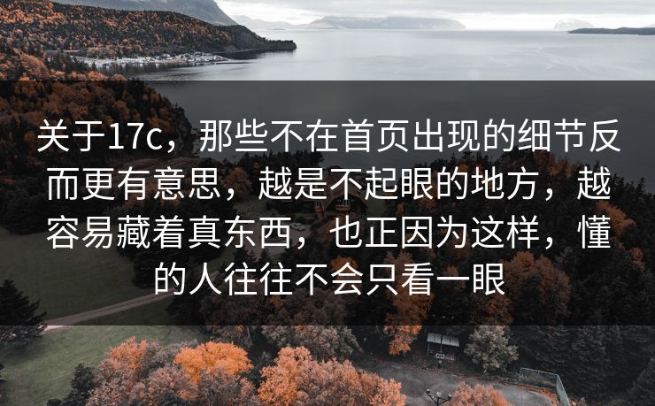 关于17c，那些不在首页出现的细节反而更有意思，越是不起眼的地方，越容易藏着真东西，也正因为这样，懂的人往往不会只看一眼