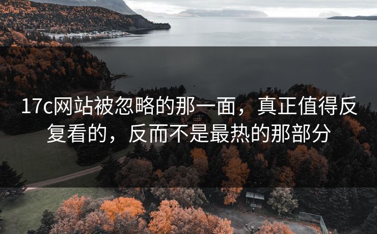 17c网站被忽略的那一面，真正值得反复看的，反而不是最热的那部分