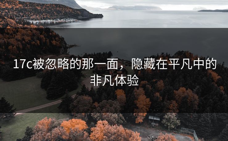 17c被忽略的那一面，隐藏在平凡中的非凡体验