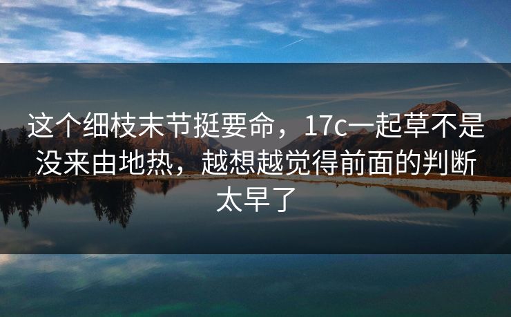 这个细枝末节挺要命，17c一起草不是没来由地热，越想越觉得前面的判断太早了
