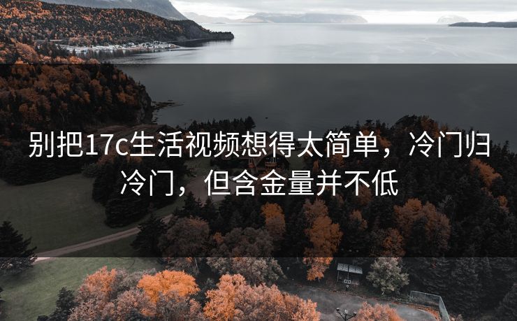 别把17c生活视频想得太简单，冷门归冷门，但含金量并不低