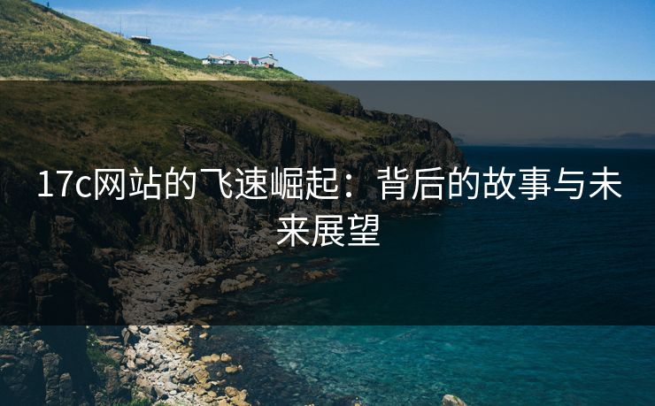 17c网站的飞速崛起：背后的故事与未来展望