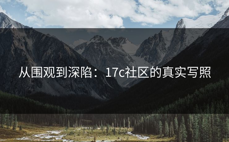 从围观到深陷：17c社区的真实写照